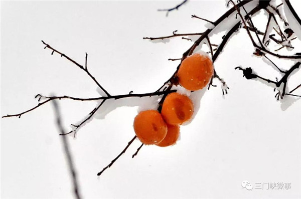 1542345840713088528.jpg 1_副本.jpg