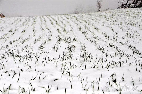 1542345886217074898.jpg 2_副本.jpg