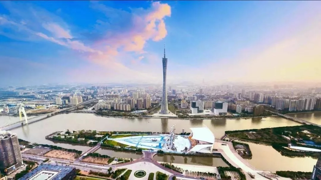 1542263500047040669.jpg 1542263500047040669.jpg