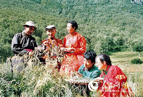 1541755218714049011.jpg 蒙药专家在野外采药.jpg