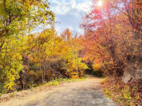 1542870054462057314.jpg 昆嵛山1.jpg