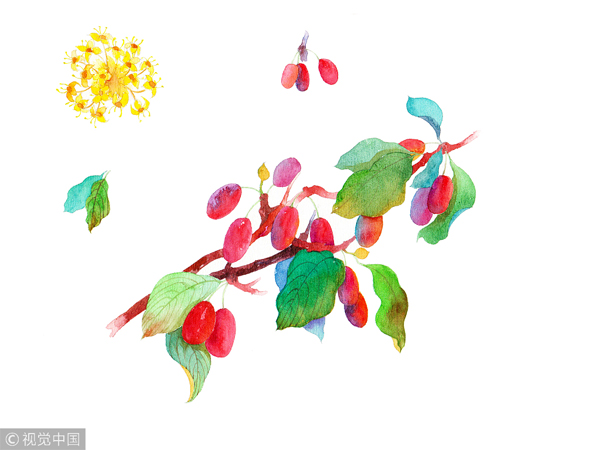 1539763853819094350.jpg 5bc68f4ca310eff369013705.jpg