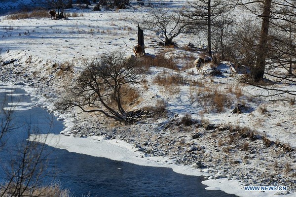 1544406023494031749.jpg 666666666.jpg