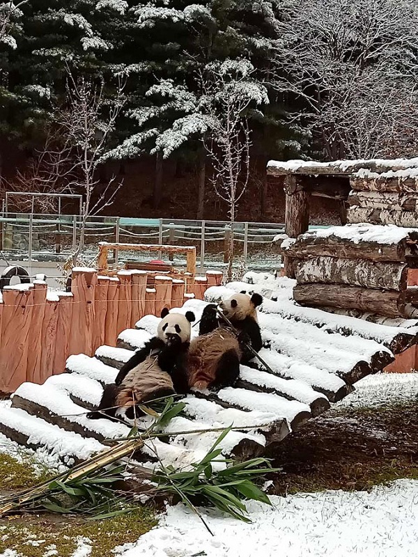 1544665557686078058.jpeg 5c10c2b0a310eff3690a979d.jpeg