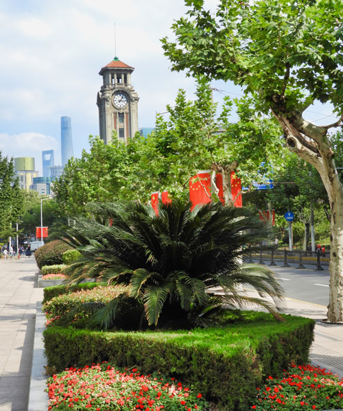 1544664566935076960.jpeg s1.jpeg