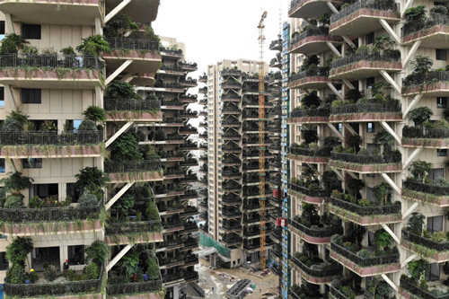 1544691207149008121.jpg 2173_副本.jpg