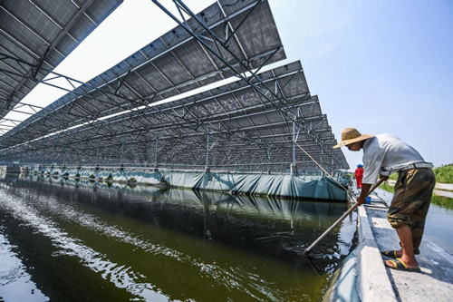 1544691221274043321.jpg 2174_副本.jpg