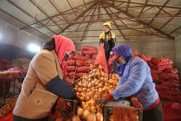 1545180528715055949.jpeg mongolia.jpeg