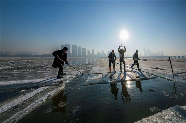 1545183941895032104.jpg d1263cd4bfb8dce1ddadd3301d1d0815.jpg