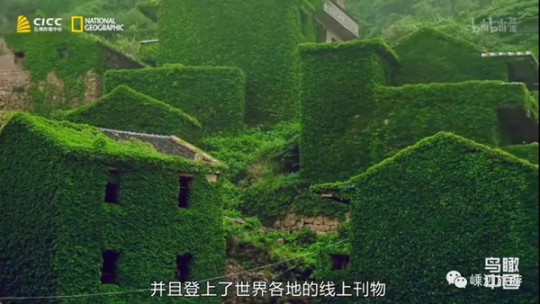 1542099415135005165.jpg 村庄3.webp.jpg