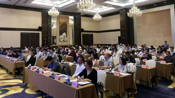 1541063535019034683.jpg 代表.jpg