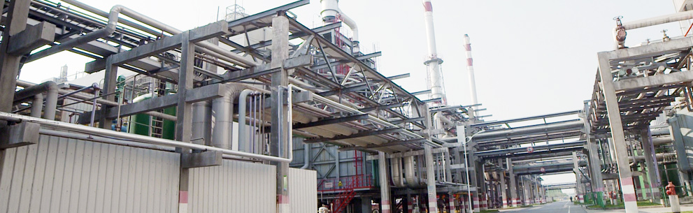 1543902747921062105.jpg top04.jpg