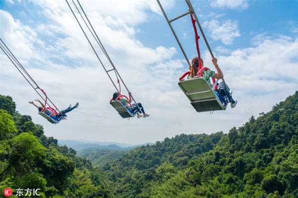 1545615179005033819.jpg 4.jpg