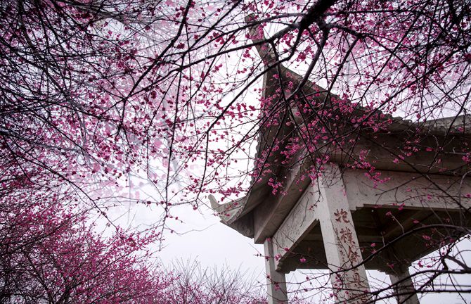 1543299367446083892.jpg 桃园七里1 (19)吴铁鸣13157040911_副本.jpg