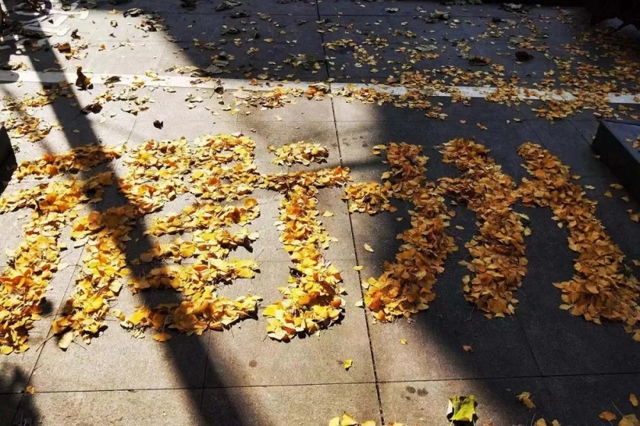 1543912949822059963.jpg 1衢江北路1.jpg