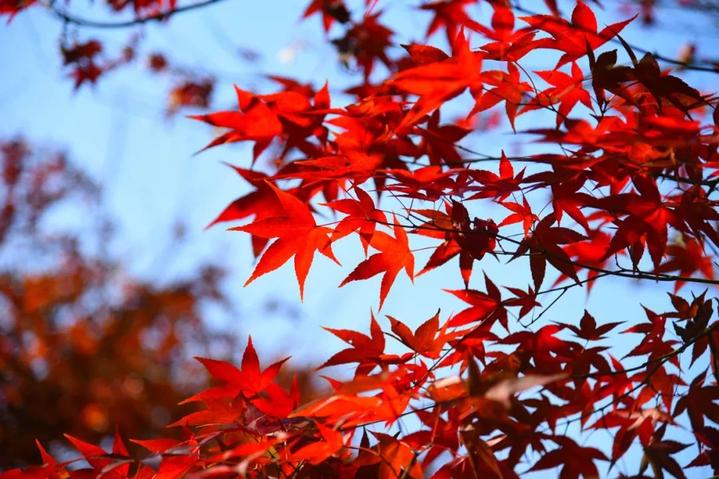 1544517628328055748.jpeg 4.jpeg