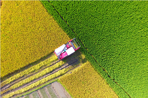 1545640011886034050.png 2292_副本.png