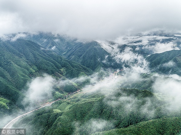 1545186233766034498.jpg VCG211145676639.jpg