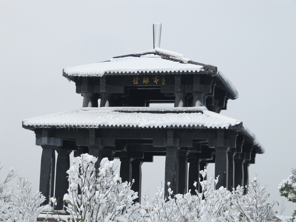 1532508490841038111.jpg 26-3.jpg