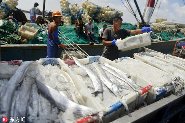 1544430517961004824.jpg 卸鱼载货.jpg