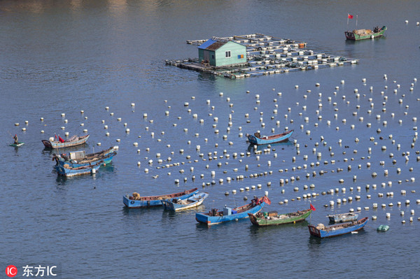 1545270034235056269.jpg 枸杞岛.jpg