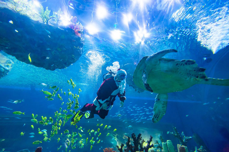 1545881988114007176.jpeg 1545881988114007176.jpeg