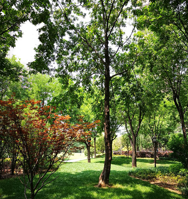 1545873442087088359.jpg 1.jpg