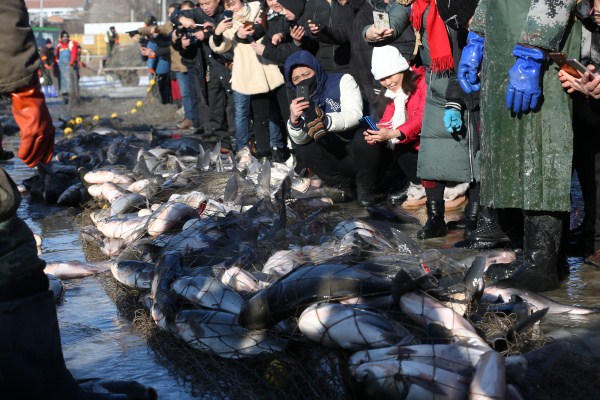 1546566259975074599.jpg 286ed488c82d1d97bc310d.jpg