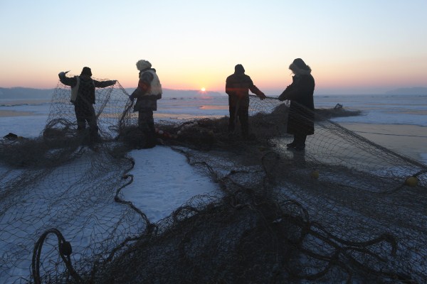 1546566277826074581.jpg 286ed488c82d1d97bc370e.jpg