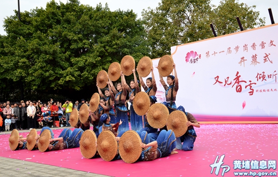 1546568902491032631.jpg 1546485764628085067.jpg