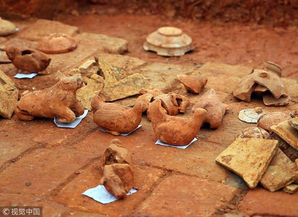 1546997636001052329.jpg 5c346322a310686029df0eca.jpg