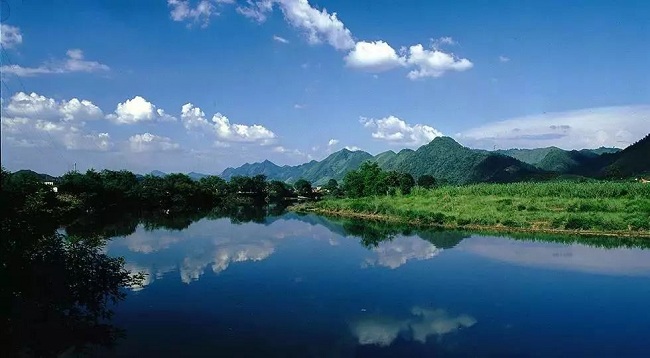 1547109983636008992.jpg 3.jpg