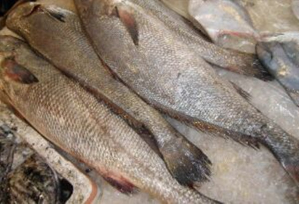 1547197497037091354.jpg 鮸鱼.jpg