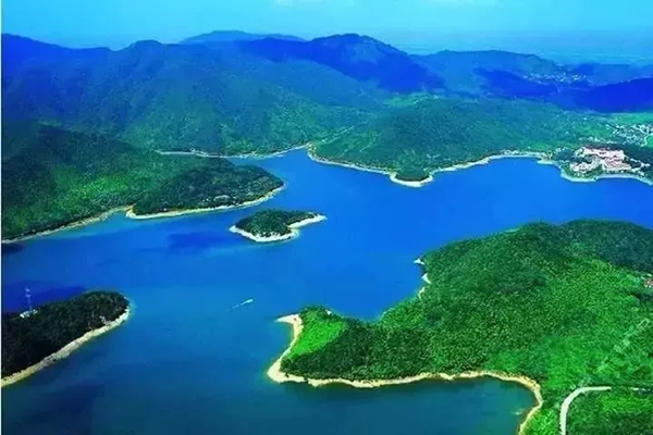 1547516305719063284.jpg 640.webp_副本.jpg