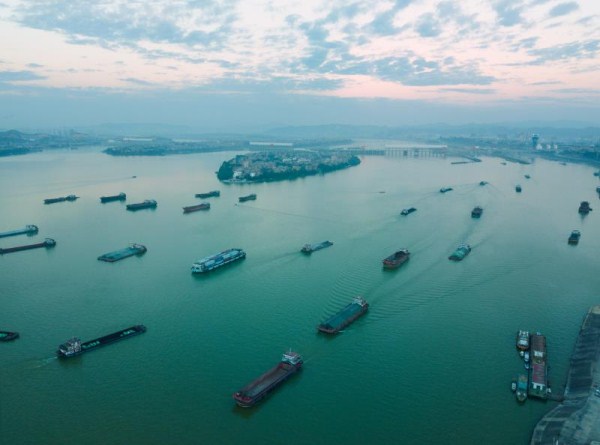 1547602283232002380.jpg 1.jpg