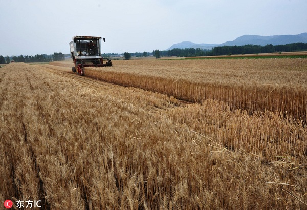 1547688138875054805.jpeg 5c3ef731a3106c65fff5b710.jpeg