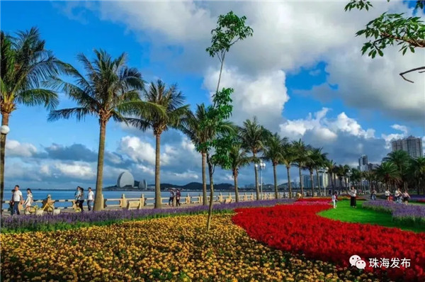 1547689124734050776.jpg 4.webp_副本.jpg