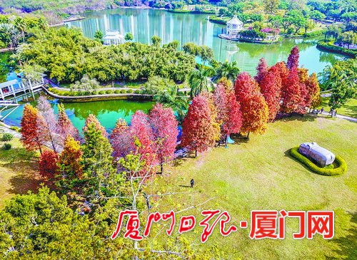 1547794413476050232.jpg 286ed488c82f1da8cbeb3e.jpg