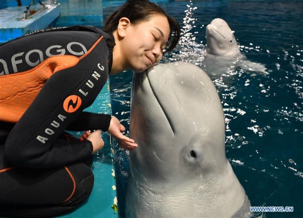 1548033858444035472.jpg 1.jpg