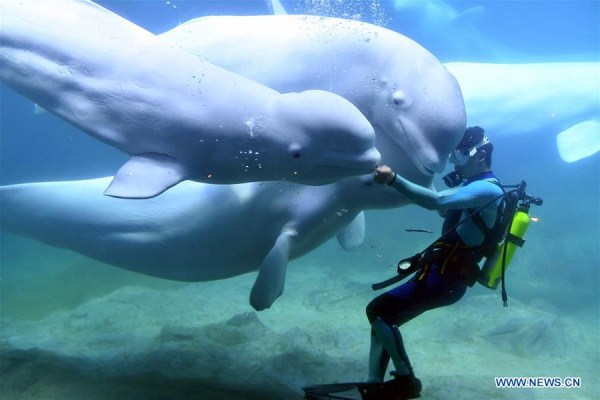 1548033893956016626.jpg 4.jpg