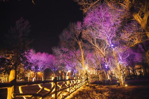 1548208733189027466.jpg d574996b1df9cc139d5b0146fb0428bd.jpg