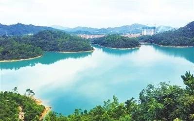 1548207608265083830.jpg jintai.jpg