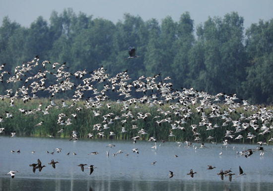 1548380145328009989.png 76403_副本.png