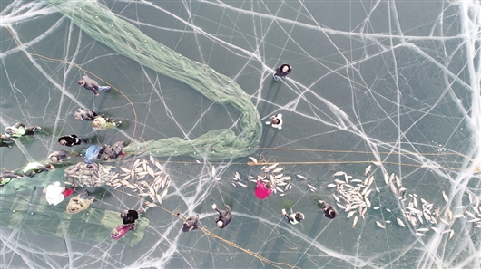 1548833338357091827.jpg res01_attpic_brief (6).jpg