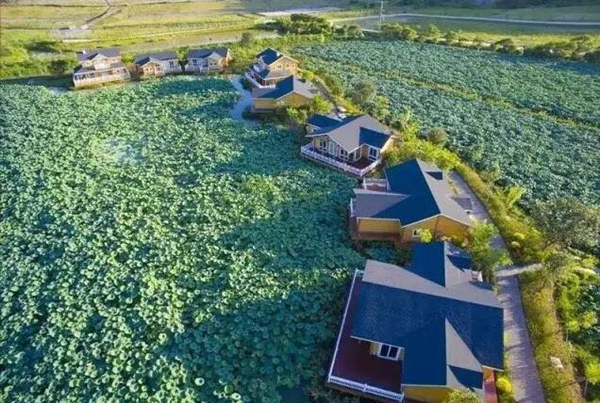 1548813368434062709.jpg doumen_副本.jpg