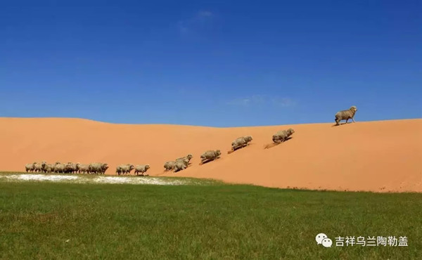 1548826415626057182.jpg 1.jpg