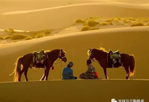 1548826570068005318.jpg 1.jpg