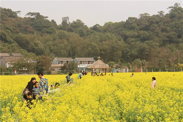 1548984945628002878.jpg shili2.webp_副本.jpg