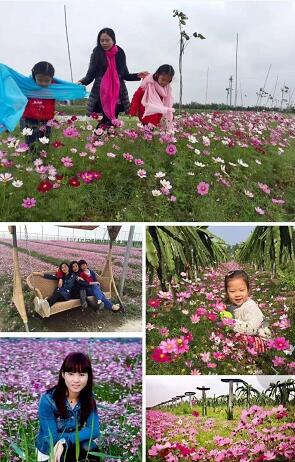 1548985237237085467.jpg shili7.jpg