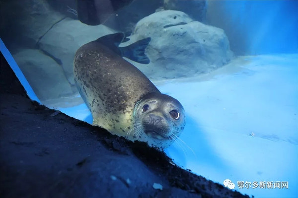 1549085966898079909.jpg 1.jpg